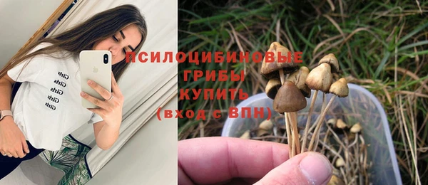 мяу мяу мука Арсеньев