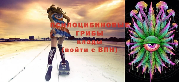 мяу мяу мука Арсеньев