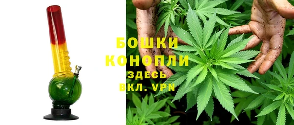 мяу мяу мука Арсеньев