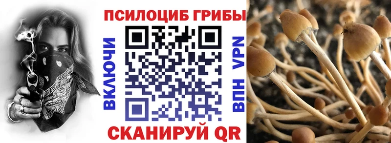 где найти Старый Крым Галлюциногенные грибы MAGIC MUSHROOMS
